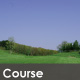 course